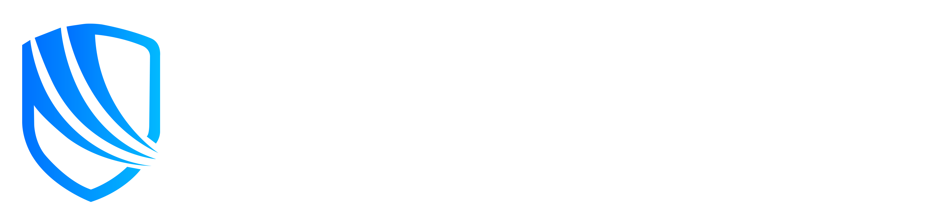 TURVAVISION